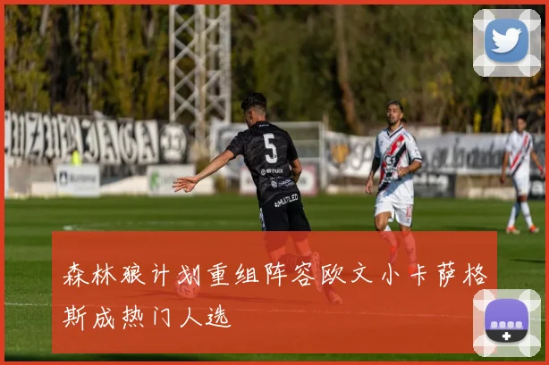 森林狼计划重组阵容欧文小卡萨格斯成热门人选